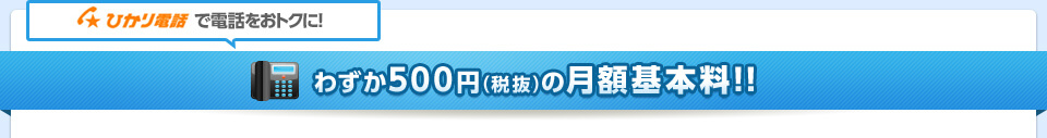 月々の基本料はたったの500円!（税抜）