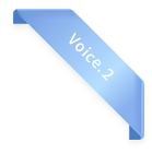 Voice.2